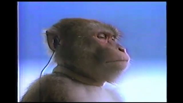 маленький бабиджон, слушать исключительно в наушниках! смотреть онлайн