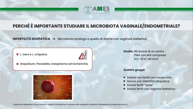 Il Microbiota смотреть онлайн