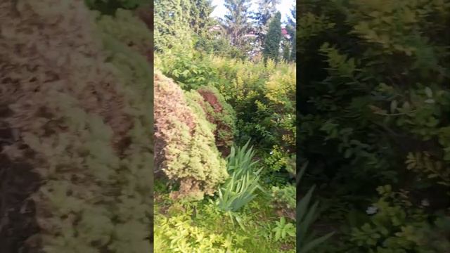 Я ездил в город Казань смотреть онлайн