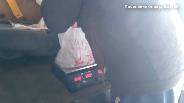 Сеем фацелию смотреть онлайн