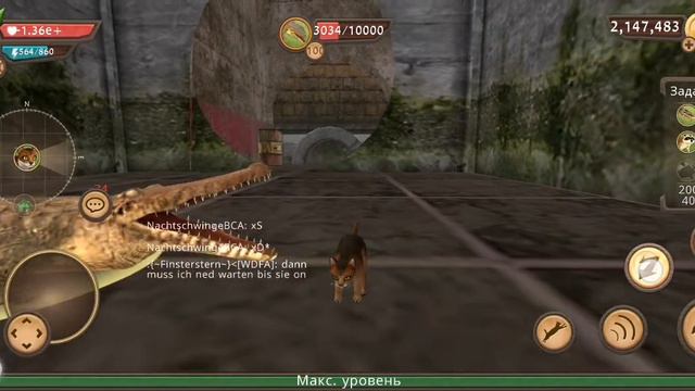 Победа всех боссов в Cat Sim! Кет сим