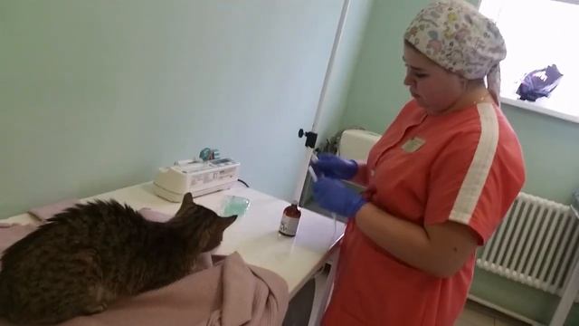 5 - сюжет... МЕДСЕСТРА И КАПЕЛЬНИЦА... 12 03 20... смотреть онлайн