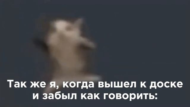 Я дома: Хорошо выучил стих и готов его рассказать смотреть онлайн