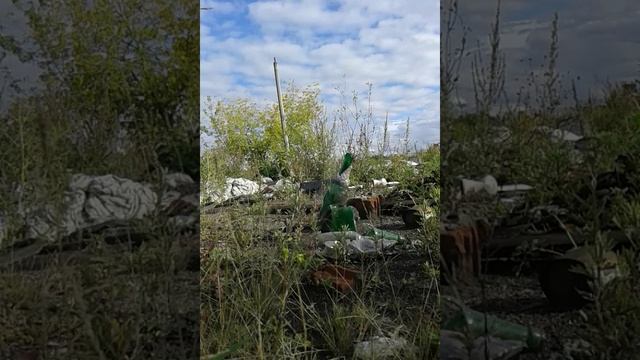 Пристрелка пневматики Benjamin расстояние 25 метров. смотреть онлайн
