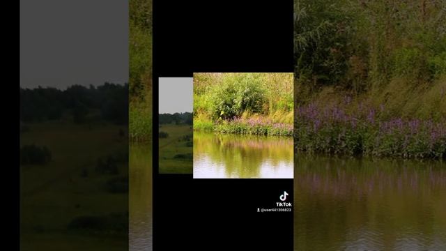 Алтайский край село Слюдянка смотреть онлайн