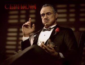 The Godfather: The Don's Edition. Серия№1