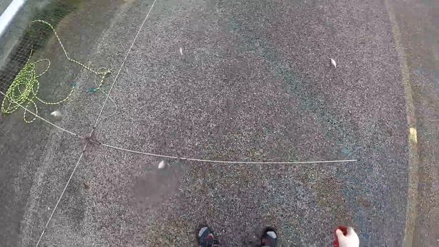 Рыбалка на паук. От таких крупных рыб чуть паук не порвал. #рыбалканапаук #fishing #낚시 смотреть онлайн