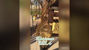 Бутылочное дерево из ивы