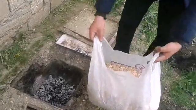 Цирковые Представления и Шоу