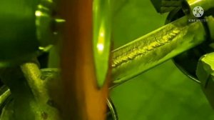 Как варит аргоном латунь