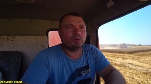 Уборка Пшеничных полей 2021/Падает Урожайность /Пересохшее зерно/Сложная уборка Пшеницы .
