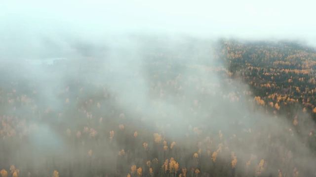 The Best Music Relaxing Sleeping Music Relax Your Brain & Sleep Calm Your Mind Meditation Music смотреть онлайн