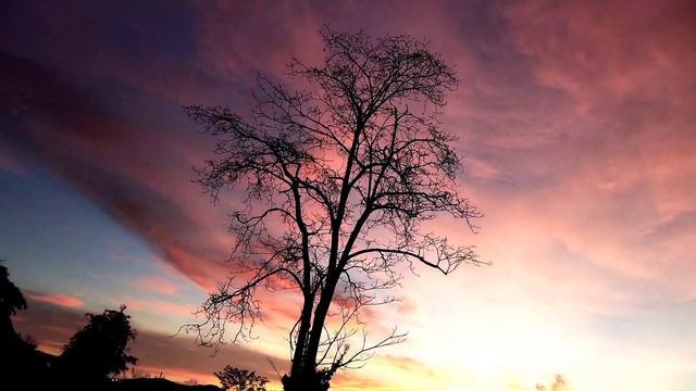 WOW HASIL FOTO DAN VIDIO SONY NEX 5T смотреть онлайн