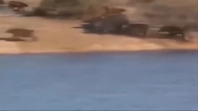 буйвол Сохранить детка Из Лев, слон, крокодил, леопард, анаконда, Лев, орел, Бегемот смотреть онлайн