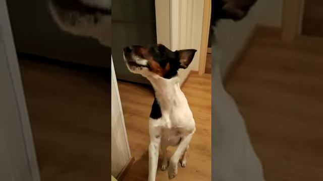 VID 20190107 WA0009 смотреть онлайн