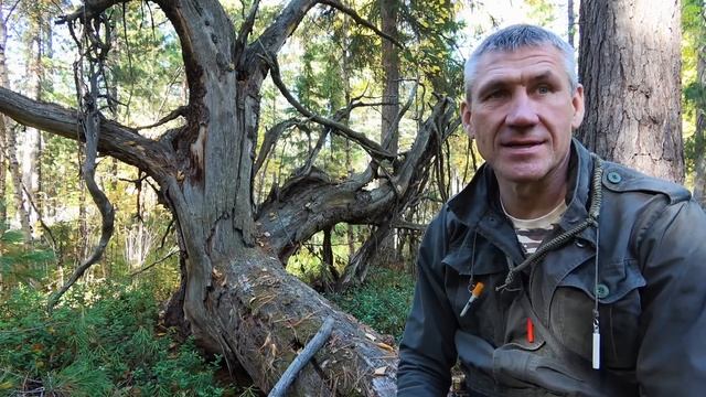 Отпуск в охотничьей избушке. Начало. смотреть онлайн