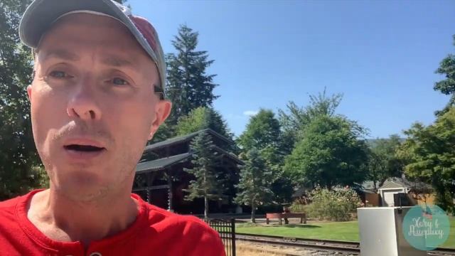 ТВИН ПИКС турист иди со мной.Twin Peaks - tourist Walk With Me 2021 смотреть онлайн