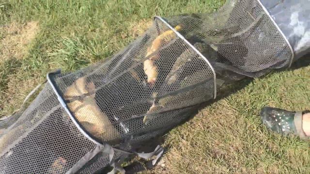 Выходной прошёл не зря 👍🏼 смотреть онлайн