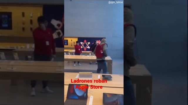 Ladrones roban equipos en Apple Store en EE.UU смотреть онлайн