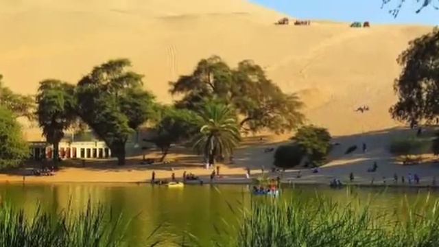 Оазис Америки. смотреть онлайн