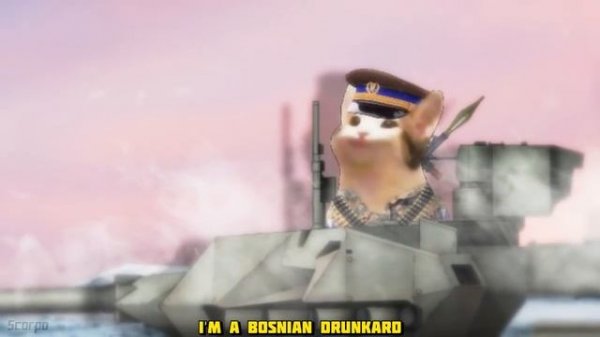 A Normal Day In The BALKANS