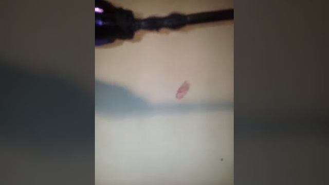 Покупки в Рив Гош смотреть онлайн