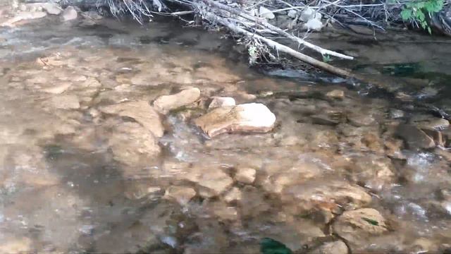 Своя речка у дома. Дом где мы живём смотреть онлайн