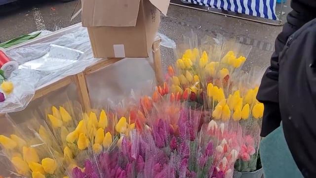 Испугала сестру в день праздника Что я натворила \ В гостях у мамы смотреть онлайн