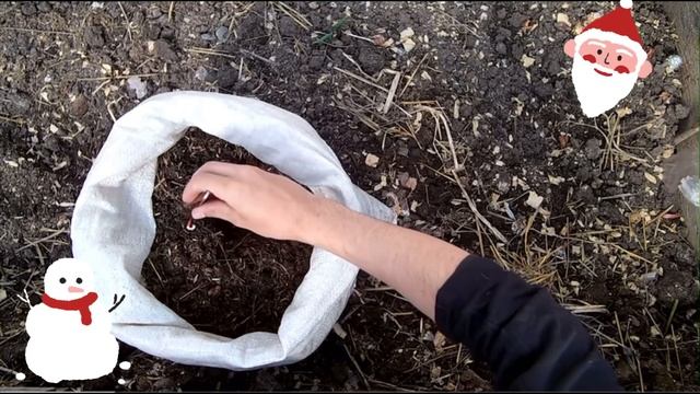 От посадки до сбора урожая кабачка смотреть онлайн