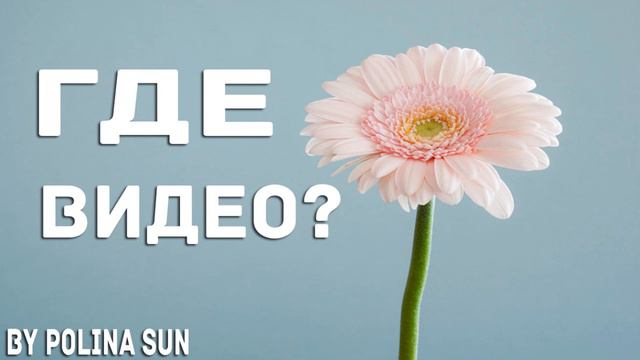 ГДЕ ВИДЕО? КОГДА ВИДЕО? смотреть онлайн