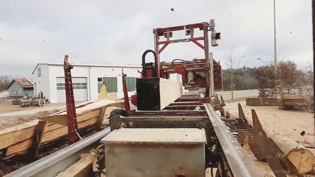 The last tree this week смотреть онлайн