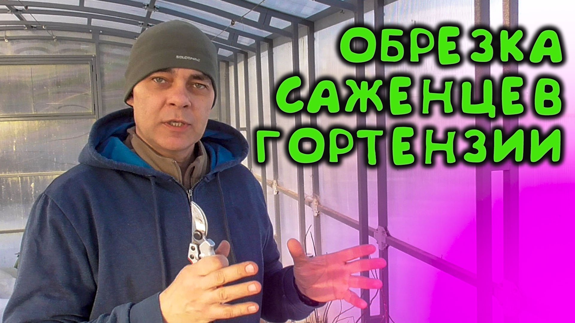 КАК ОБРЕЗАТЬ САЖЕНЕЦ МЕТЕЛЬЧАТОЙ ГОРТЕНЗИИ И УКОРЕНИТЬ ЧЕРЕНКИ / ОБРЕЗКА МЕТЕЛЬЧАТОЙ ГОРТЕНЗИИ смотреть онлайн