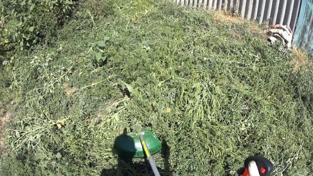 Мотокоса Oasis TB 2500 N {R} Я В ВОСТОРГЕ ОТ НЕЕ смотреть онлайн