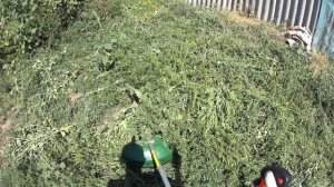 Мотокоса Oasis TB 2500 N {R} Я В ВОСТОРГЕ ОТ НЕЕ