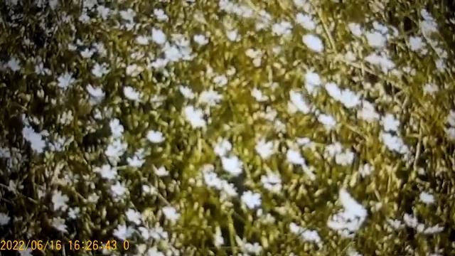 Олег  Тюменский - его две женщины Ольга Вишенка и Ольга Уралочка .