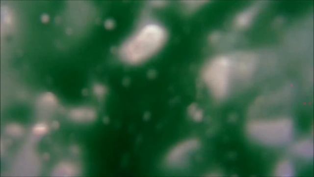 Sneezing Girl Sprays Snot Live On Babestation TV! Danni Levy смотреть онлайн