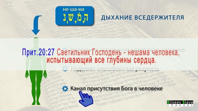 КОНЦЕПЦИЯ ДУШИ ЧЕЛОВЕКА. Взгляд Иудаизма - 4К