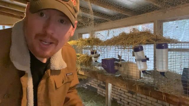 Winter Survival Guide for Coop Animals: Insulation and Protection Tips смотреть онлайн