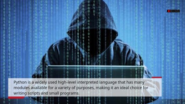 What Programming Languages Do Hackers Use смотреть онлайн