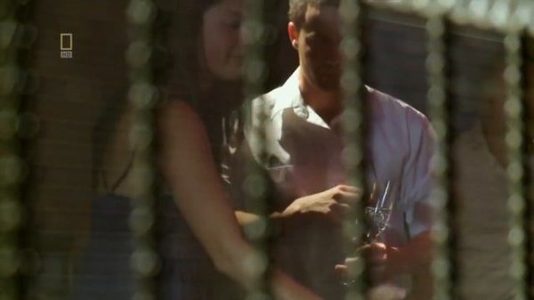 Легальный публичный дом