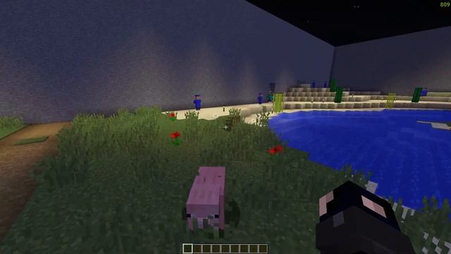 НОВЫЙ ЖИТЕЛЬ | ОГРАБИЛИ ЗОМБИ | МАГ В ДЕРЕВНЕ - Minecraft