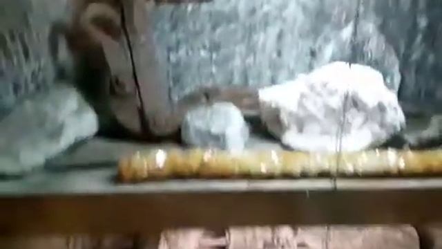 Вход в соляную шахту город Турда, Румыния. смотреть онлайн