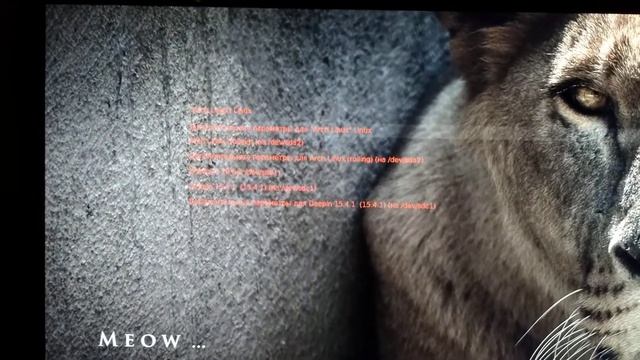 Мой загрузчик Grub в свежей сборке Arch Linux XFCE + Deepin. смотреть онлайн