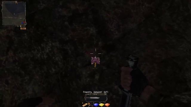 S.t.a.l.k.e.r-Тайные Тропы 2 3 корня мандрагоры смотреть онлайн