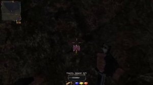 S.t.a.l.k.e.r-Тайные Тропы 2 3 корня мандрагоры