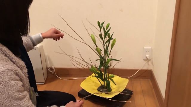 スカシユリを使った生け花 смотреть онлайн