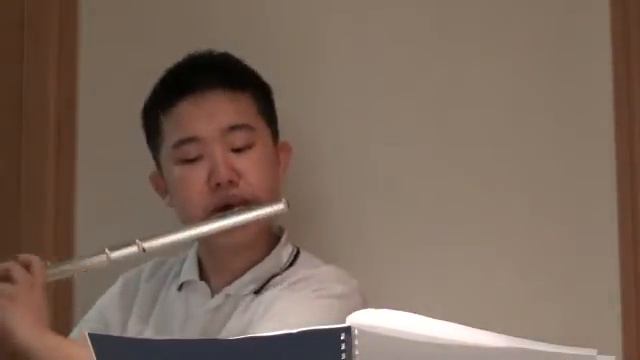 3rd mov - Telemann Methodical Flute Sonata in A Major ~ Cortesemente смотреть онлайн