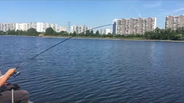 Ловля трофейного леща в братеево смотреть онлайн