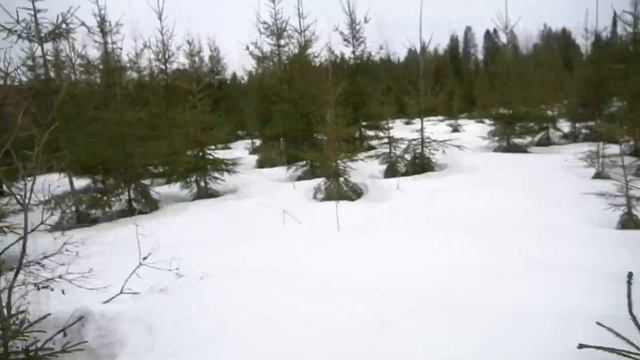 Мы отправились на поиски потерянного чемодана с аукциона, но все пошло не по плану... смотреть онлайн