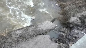 Прорыв плотины на пруду: смотрите, что произошло!